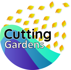 EEG and MEG methods multi-hub meeting – Belgrade Garden